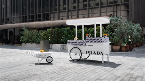 prada shopping cart